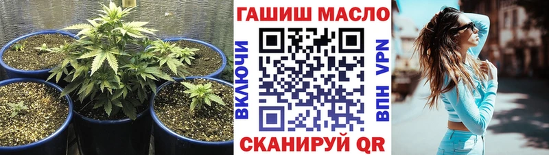 магазин продажи наркотиков  Зеленоградск  ТГК жижа 