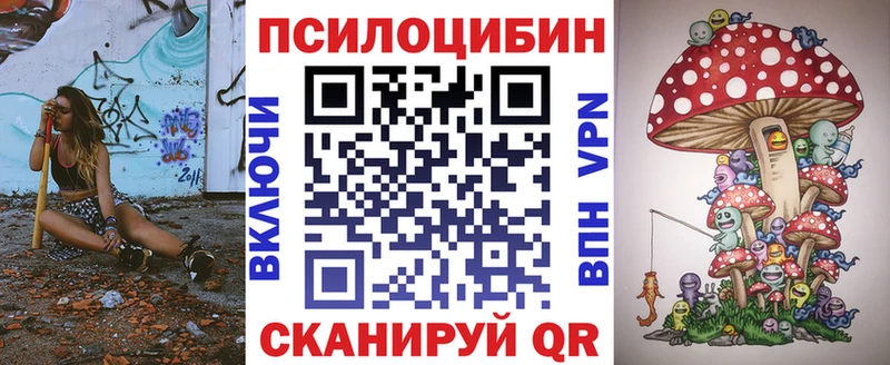 наркошоп  Зеленоградск  Псилоцибиновые грибы мицелий 